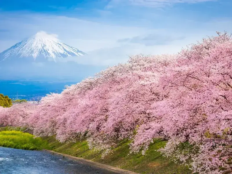 Viaje a Japón 7 días, Japón en 7 días